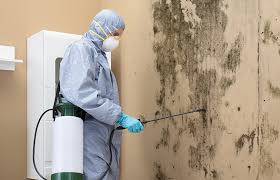 Best Biohazard Mold Removal  in Dimmitt, TX